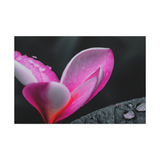 Oscar Rejlander - Canvas