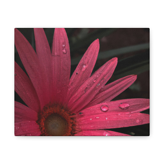 Emma Corvalley. - Canvas