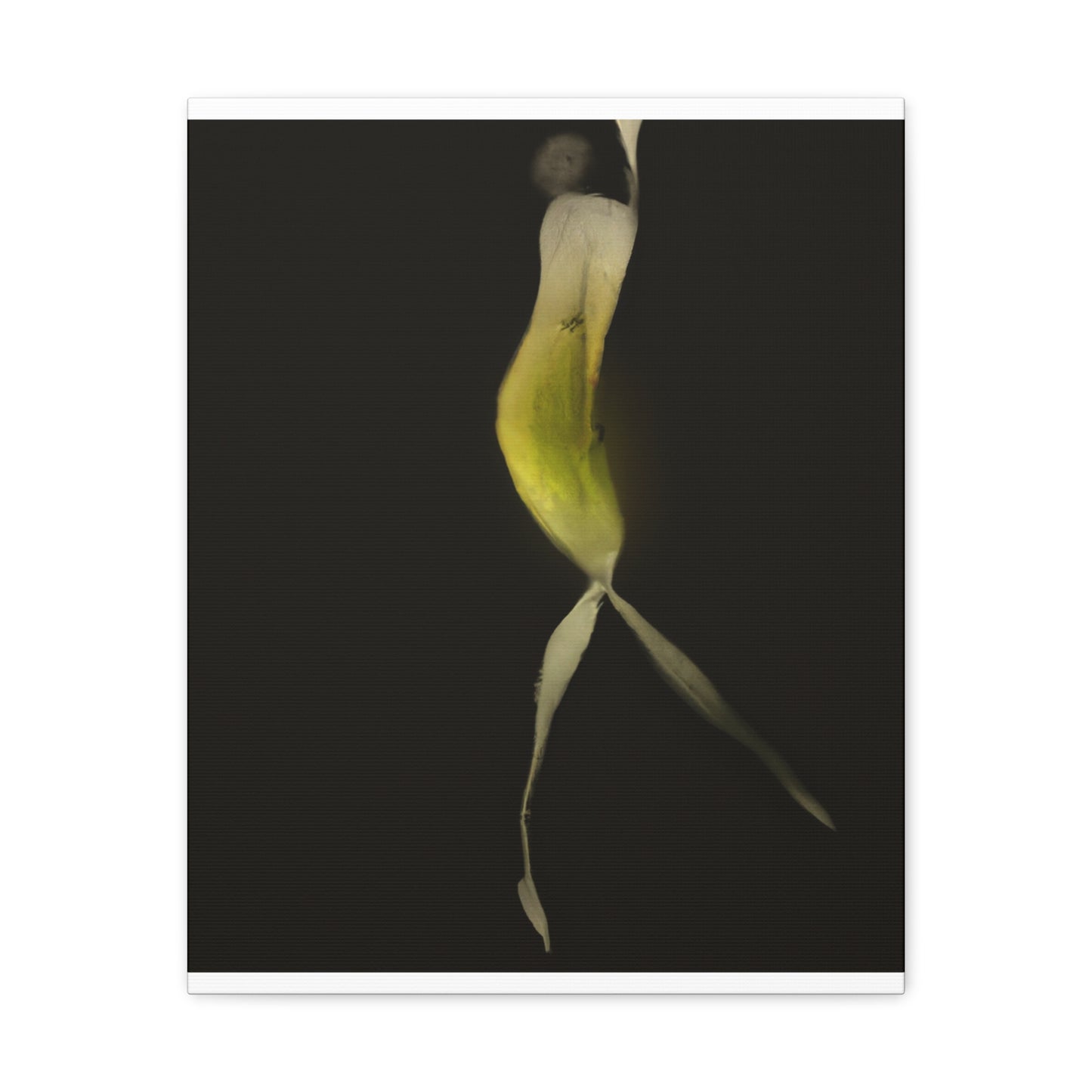 Malaphar the Magnificent - Canvas