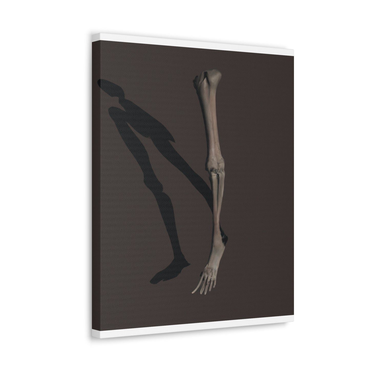 Amonkhina, The Last of Egypt. - Canvas