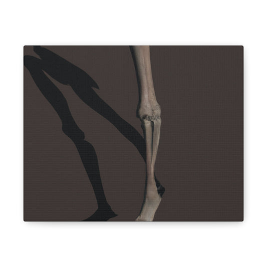 Amonkhina, The Last of Egypt. - Canvas