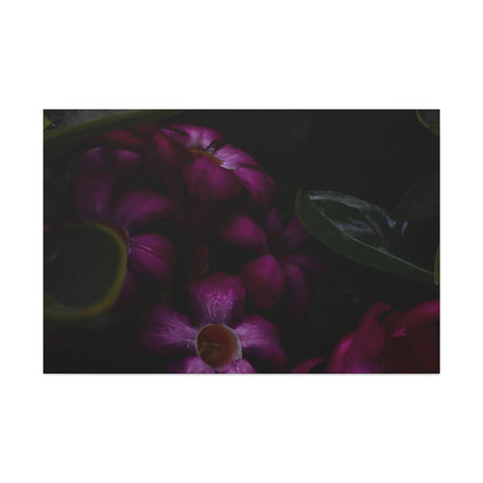 Ida Anatole-Tolstoi - Canvas