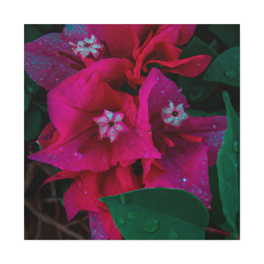 Edward Muybridge - Canvas