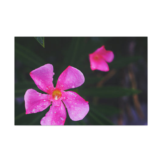 Emily Brontë - Canvas