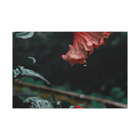 Oscar Rejlander - Canvas