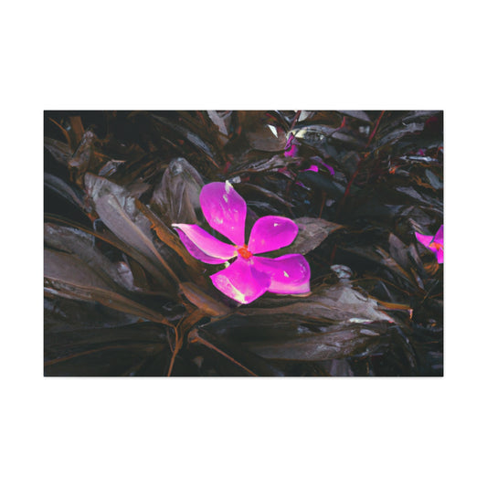 Jane Rathbone - Canvas