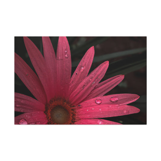 Emma Corvalley. - Canvas