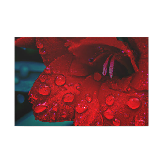 Clara Barnard (1854-1912) - Canvas