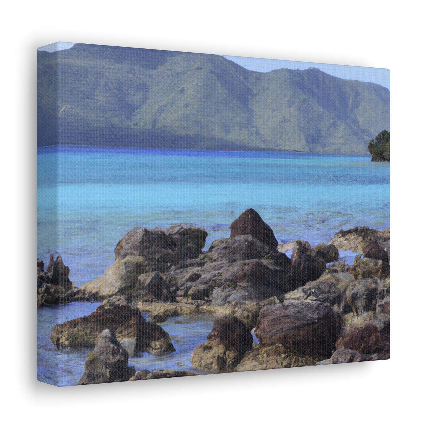 Island Oasis - Canvas