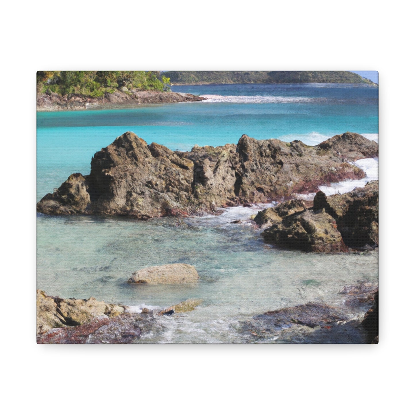 Coral Cove Island - Canvas