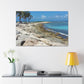 Coastal Oasis. - Canvas