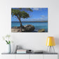 Tropical Island Getaway - Canvas