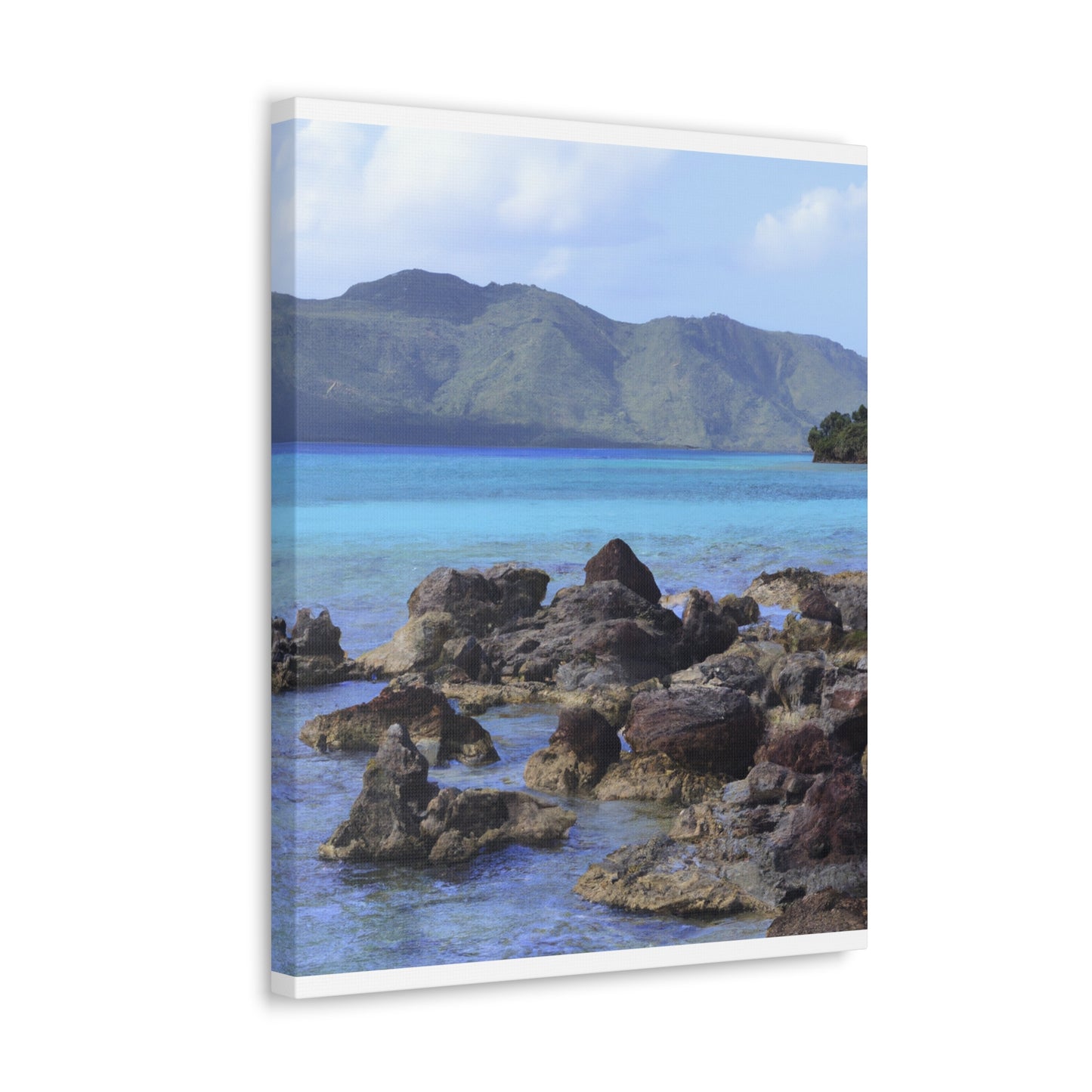 Island Oasis - Canvas