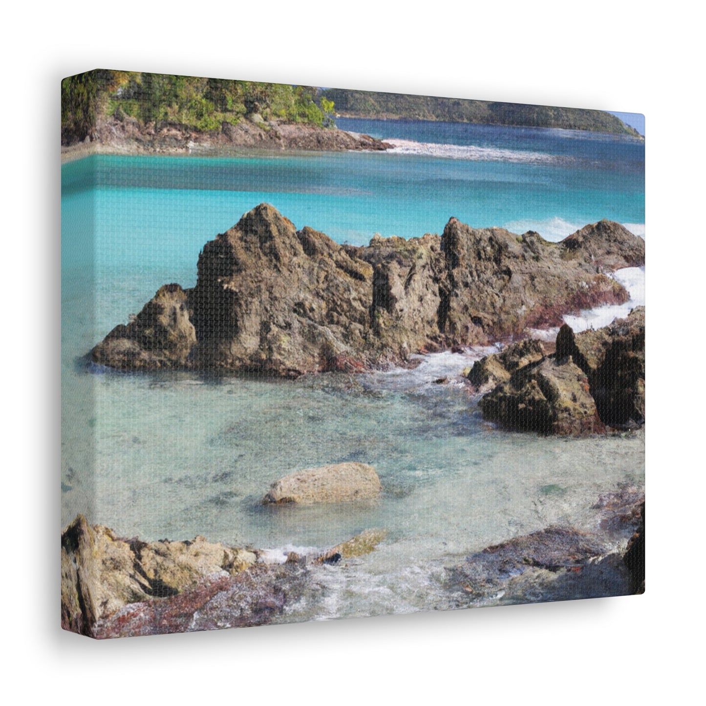 Coral Cove Island - Canvas