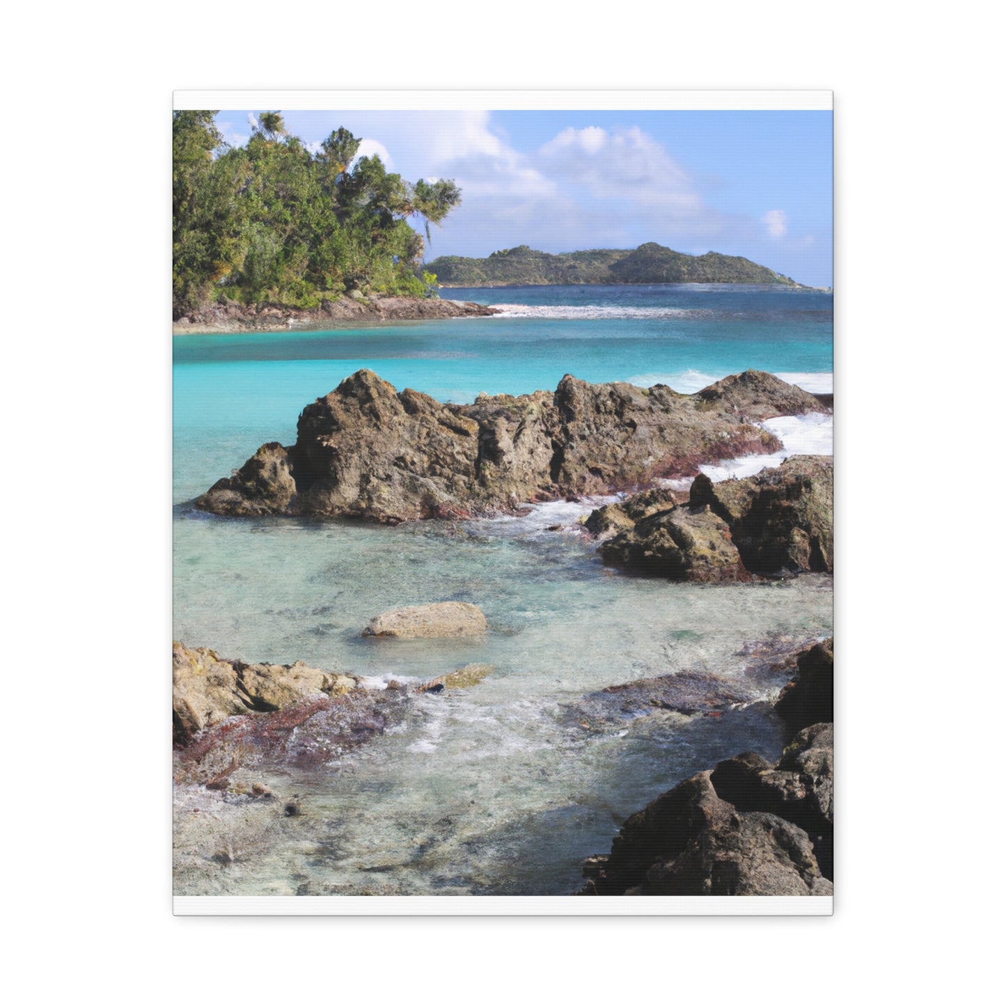 Coral Cove Island - Canvas