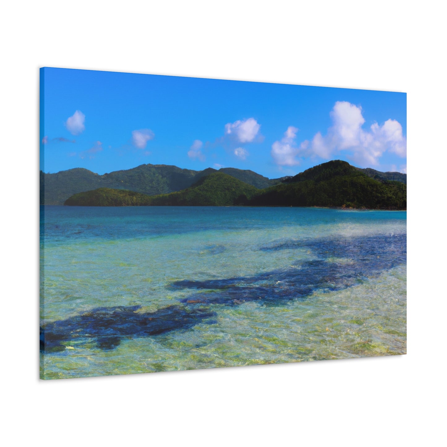 Seashore Splendor - Canvas