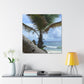 Island Oasis. - Canvas