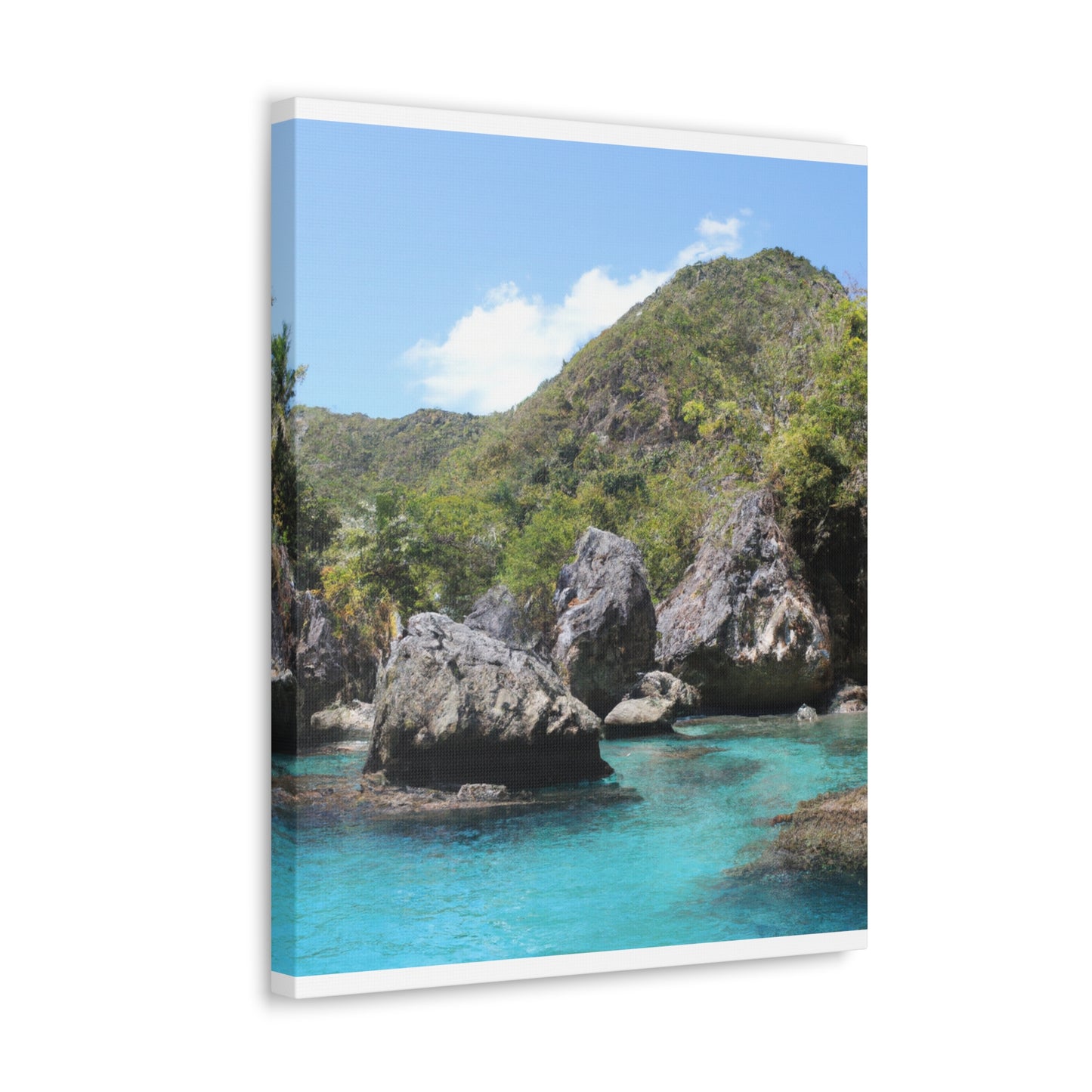 Tropical Oasis - Canvas