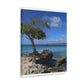 Tropical Island Getaway - Canvas