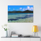 Seashore Splendor - Canvas