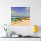 Coastal Oasis - Canvas