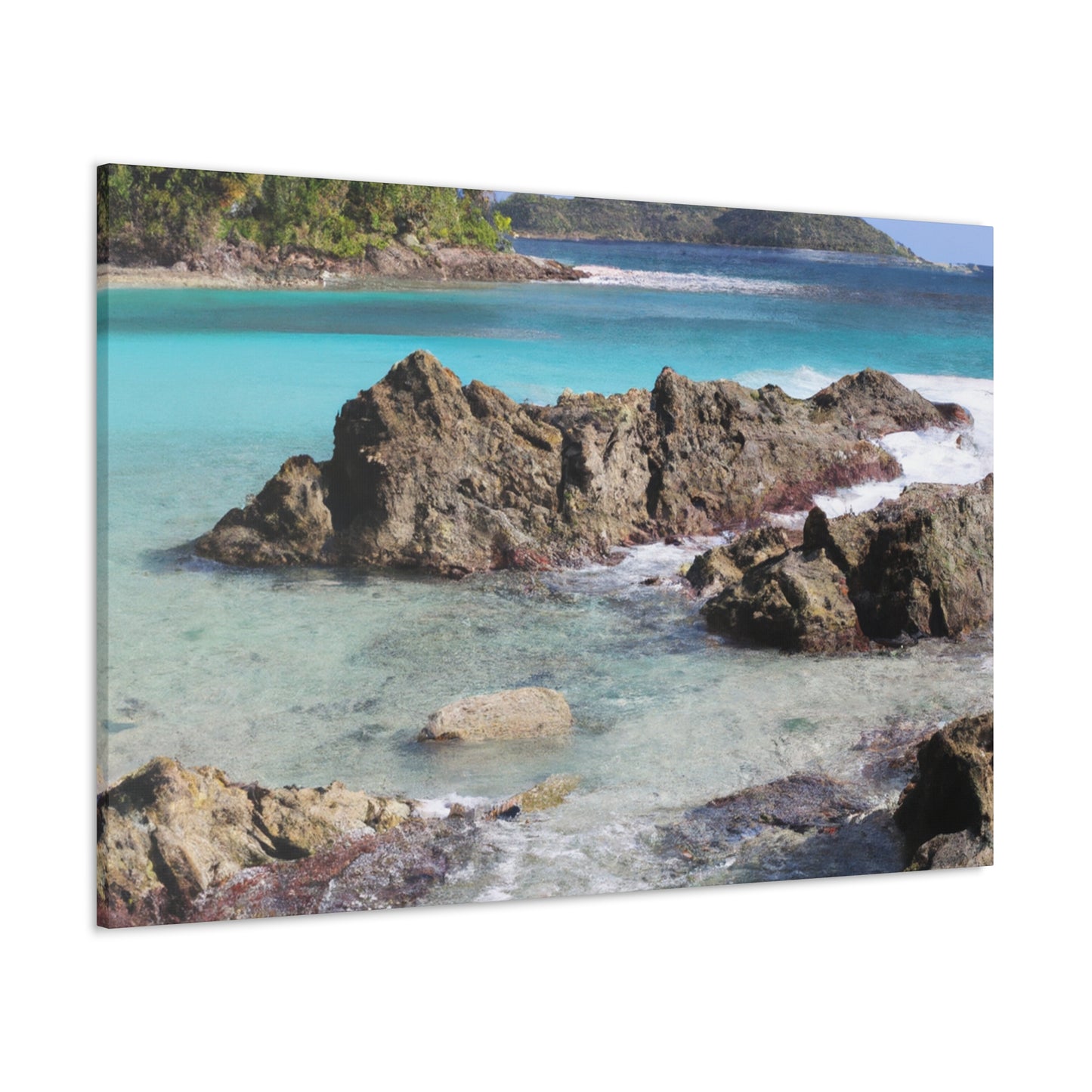 Coral Cove Island - Canvas