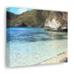 • Coral Cove Island - Canvas