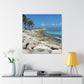 Coastal Oasis. - Canvas