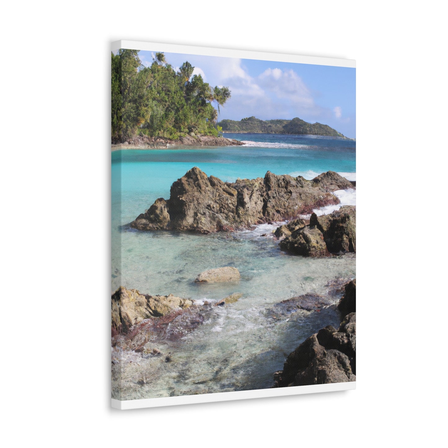 Coral Cove Island - Canvas