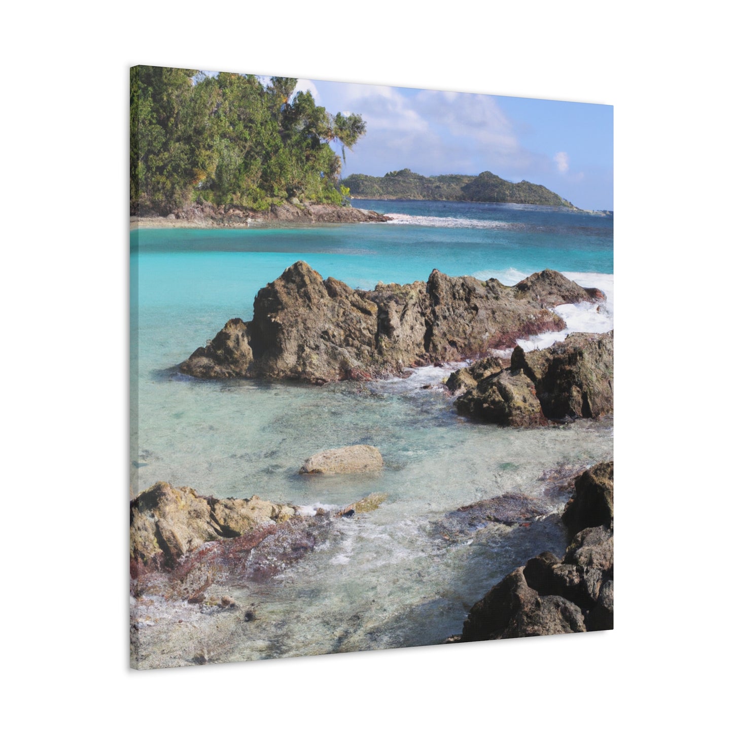 Coral Cove Island - Canvas