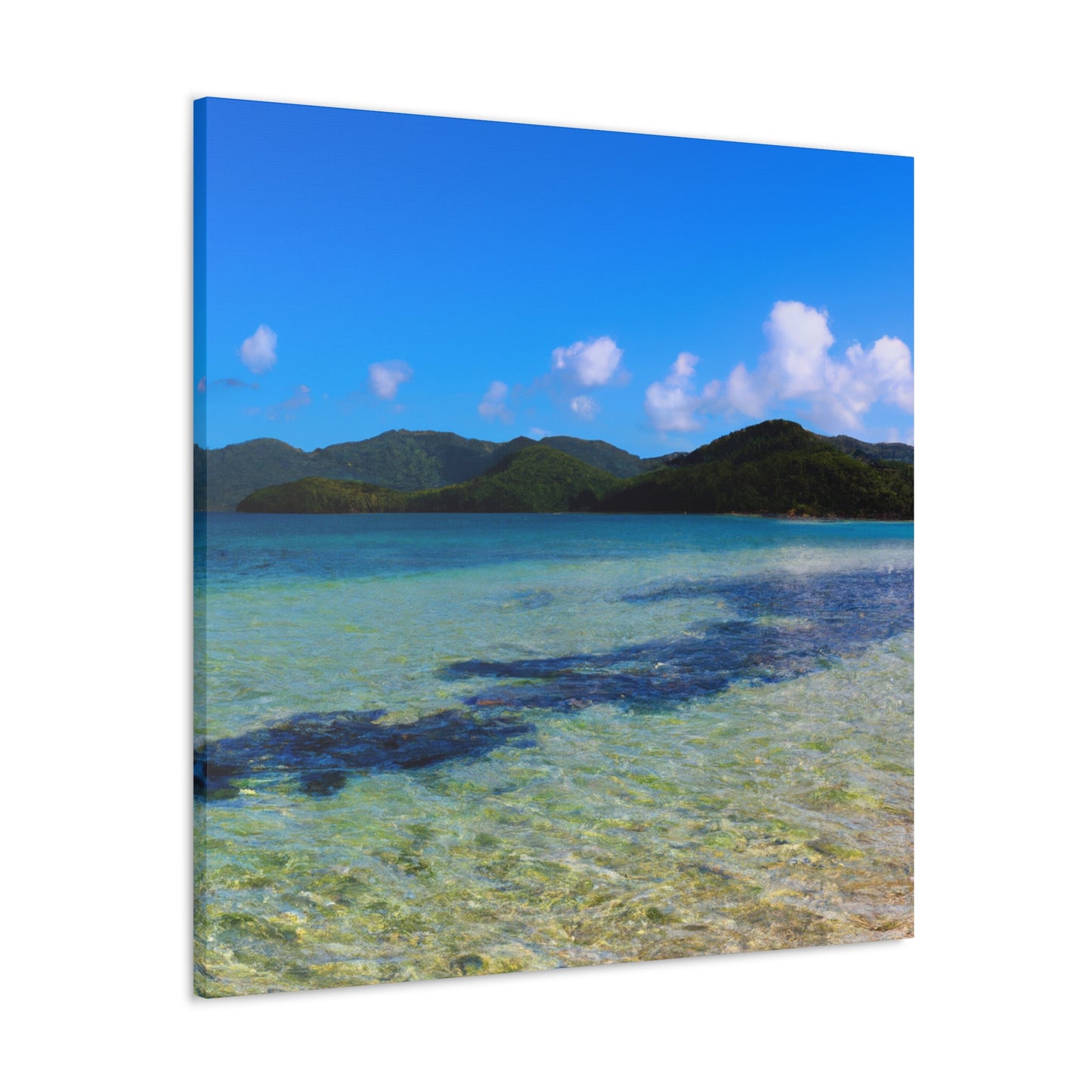 Seashore Splendor - Canvas